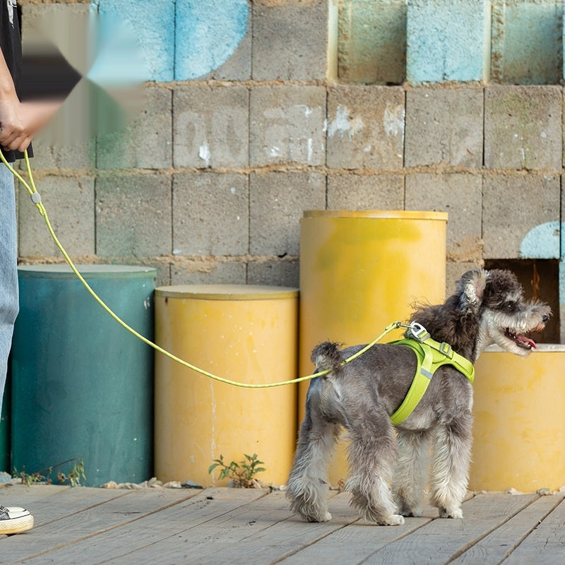 Colorful Adjustable Sliding Pet Leash Strap