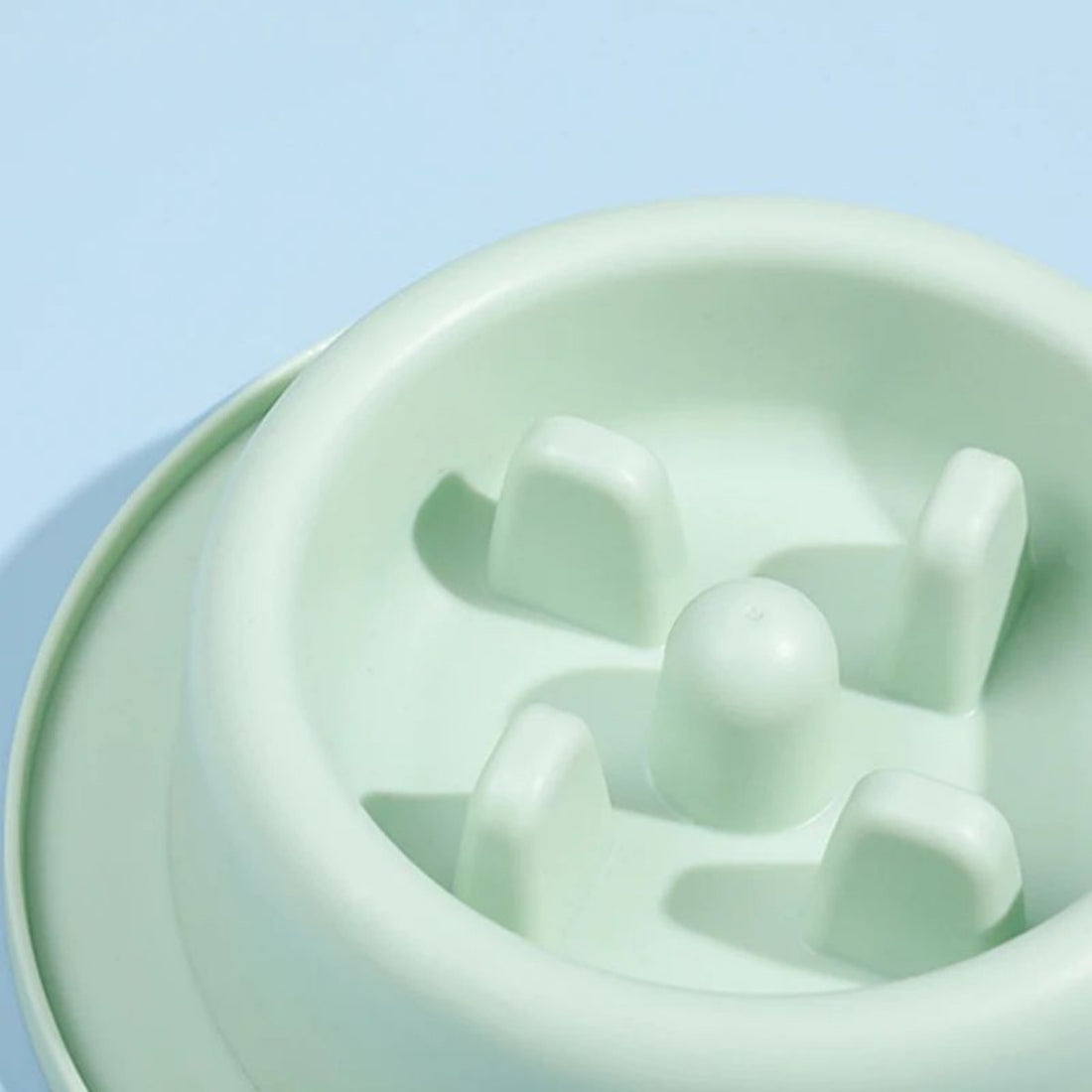 Pet Slow Feeding Anti Choking Food Bowl Interactive Plate