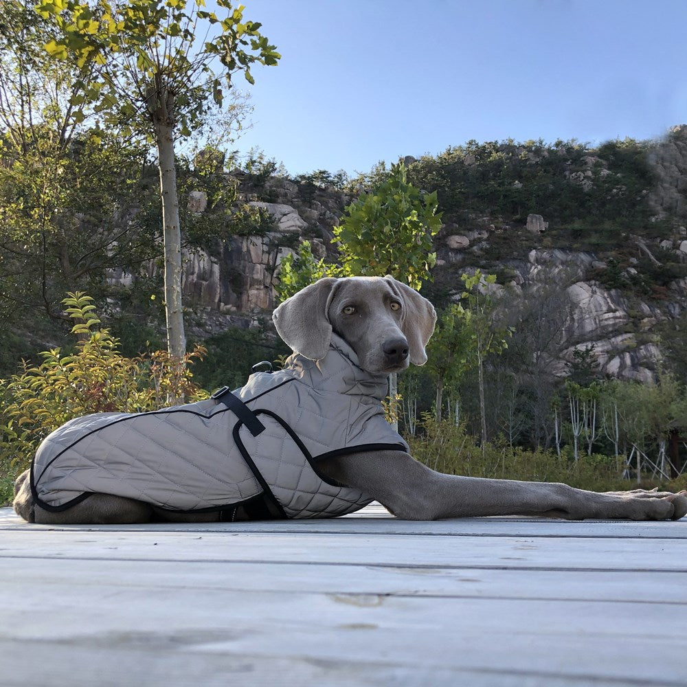 Full Body Reflective Tactical Pet Jacket Clothing