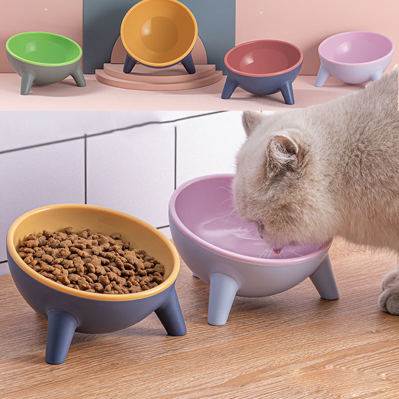 Pet Feeding Bowl With Stand Nordic Style Feeding Station