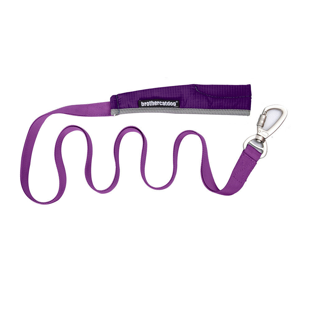 Anti Escape Pet Chest Strap Leash Storage Bag