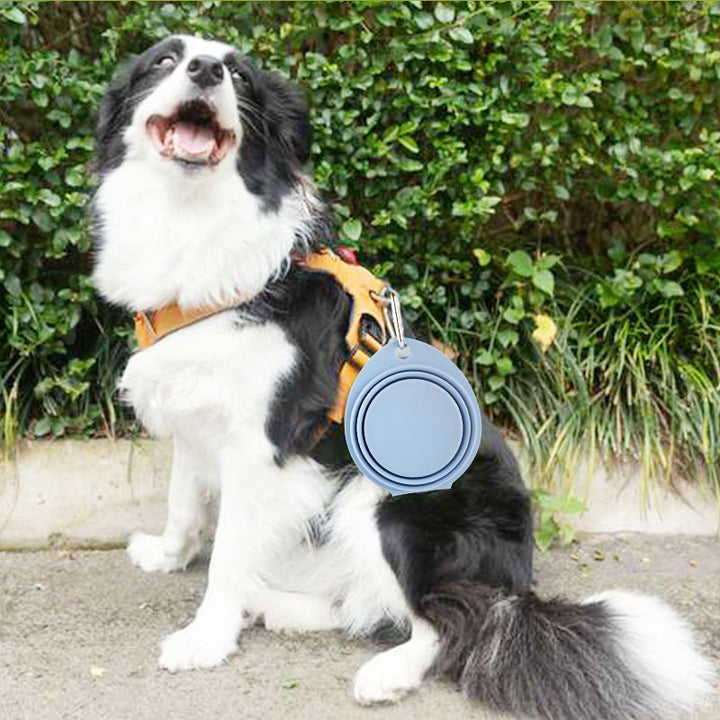 Portable Foldable Silicone Pet Feeding Bowl