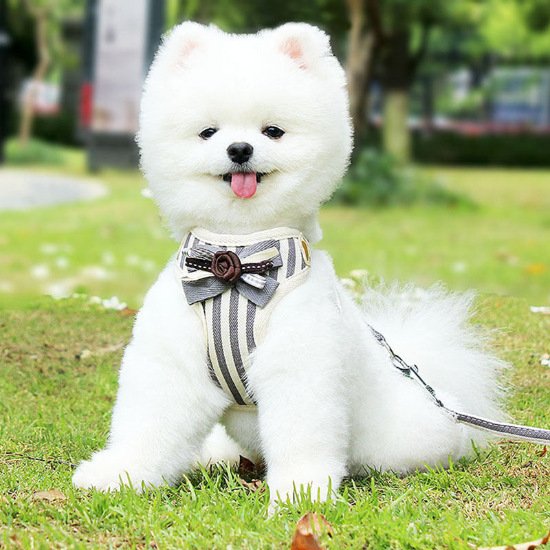 Pet Vest Chest Strap Harness With Leash