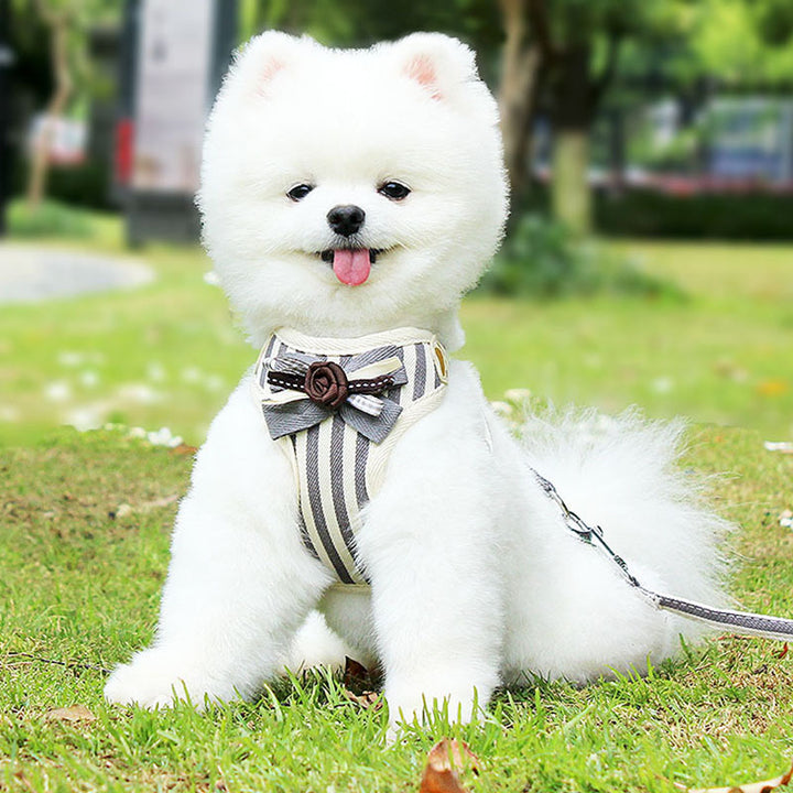 Pet Vest Chest Strap Harness With Leash