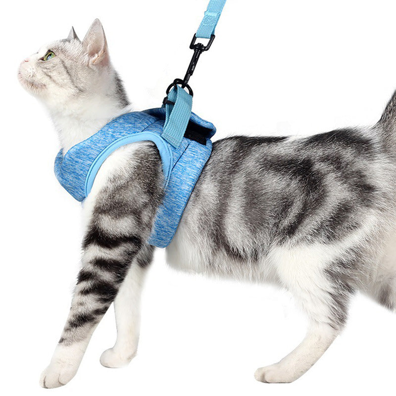 Lightweight Breathable Pet Chest Strap With Lace Rope Leash