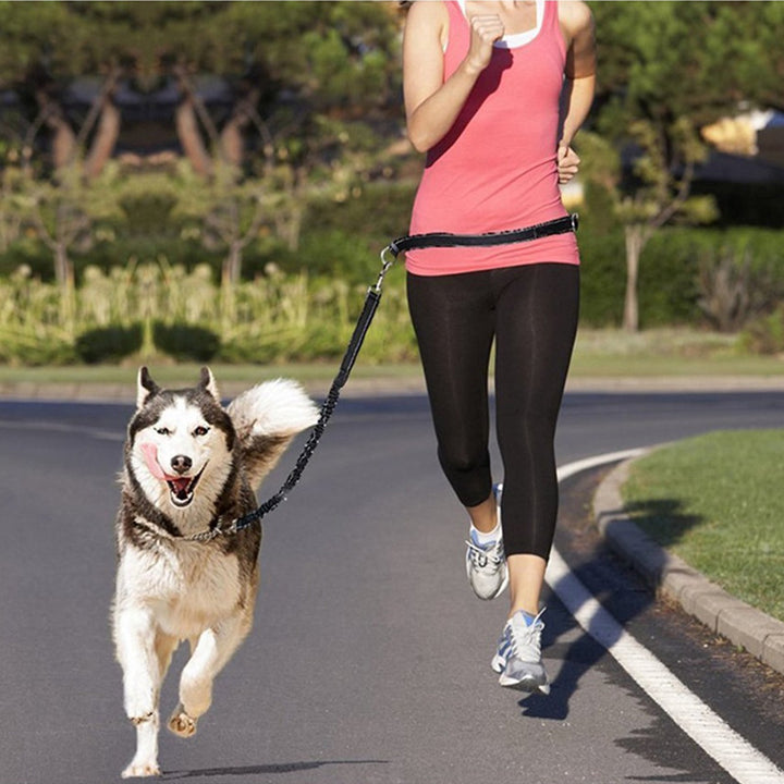 Adjustable Pet Harness Collar Jogging Leash Strap