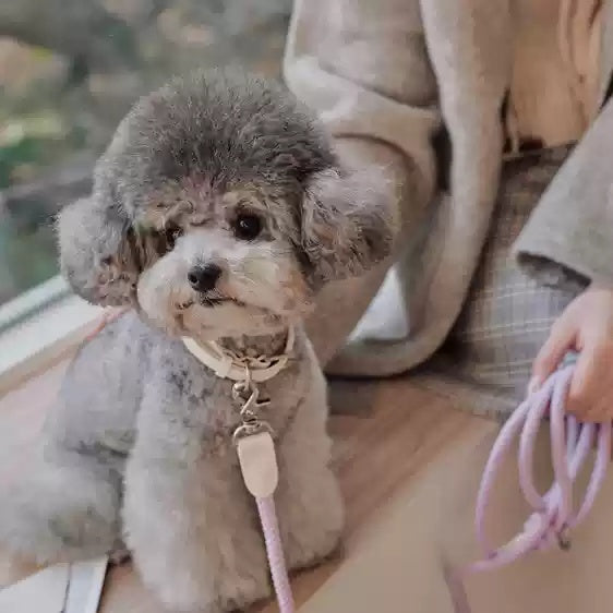 Leather Handheld Pet Collar Rope Leash For Small Medium Pets