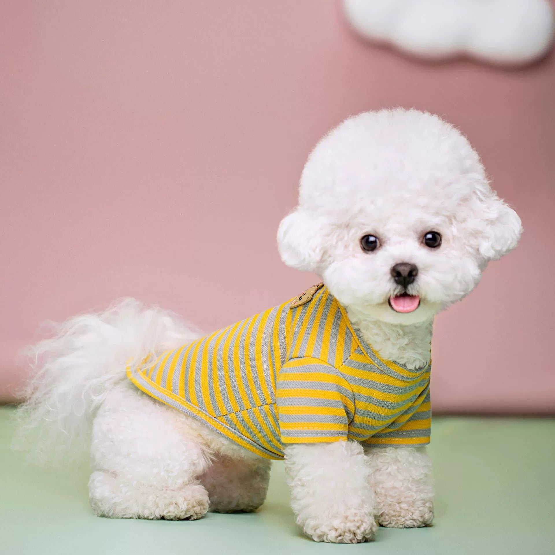Breathable Summer Pet T Shirt Clothing