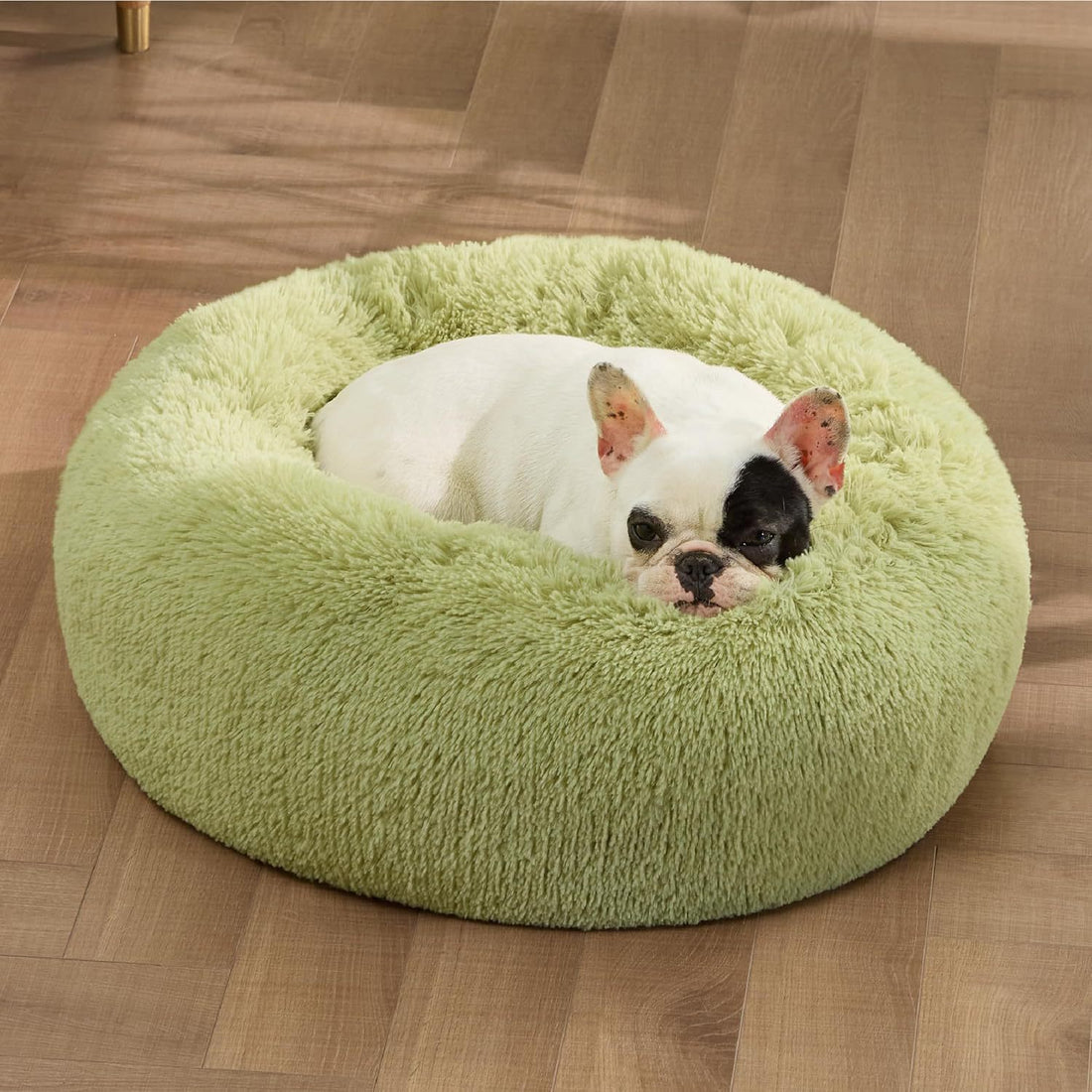 Indoor Solid Color Non Slip Fluffy Round Pet Bed