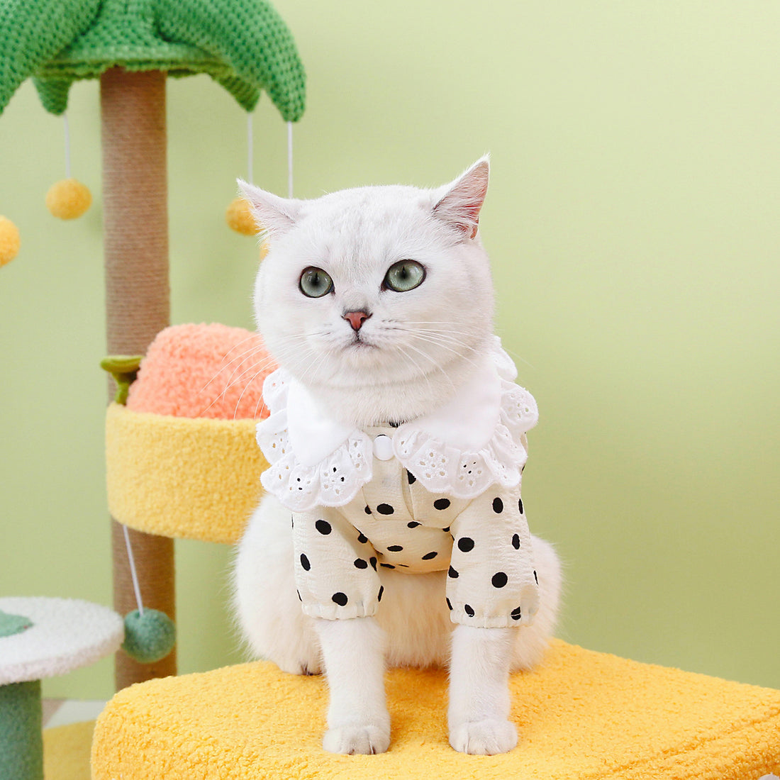 Blue Pet T Shirt Clothing