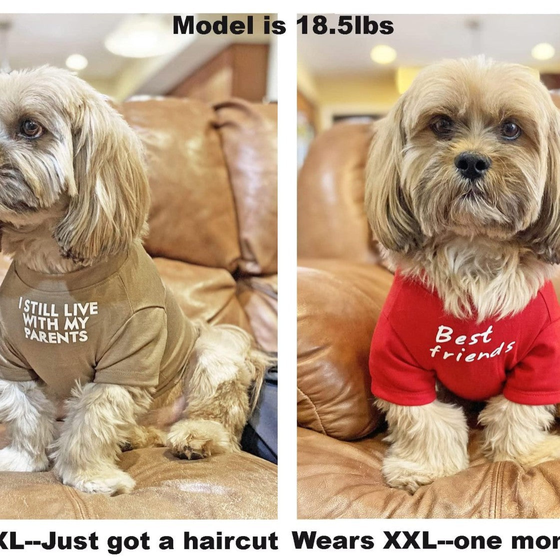 Round Neck Pet T Shirt Clothing