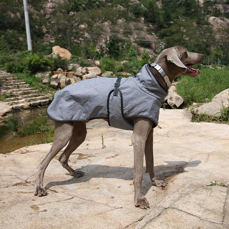 Winter Outdoor Pet Shell Jacket Ski Suit