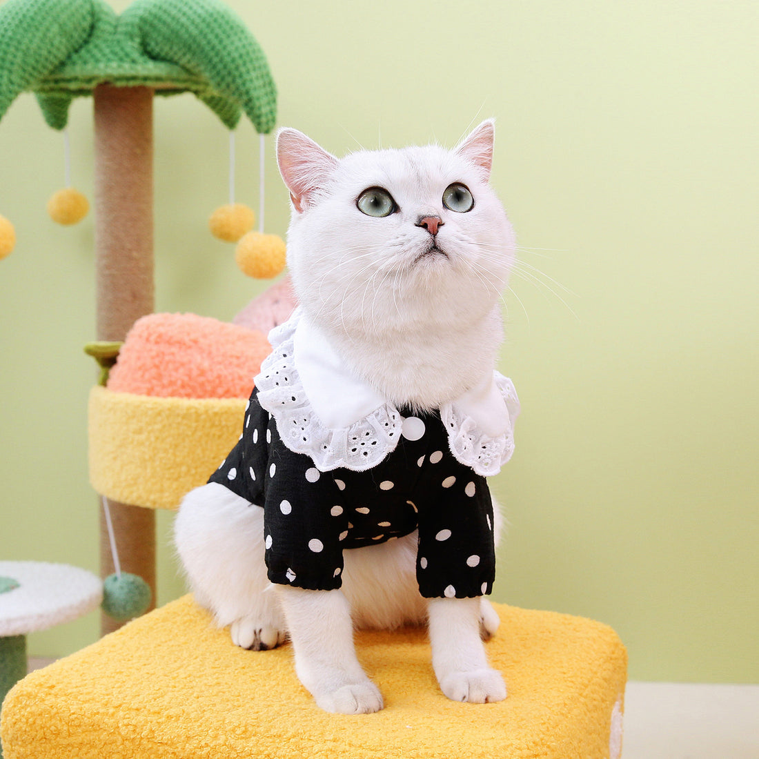 Blue Pet T Shirt Clothing