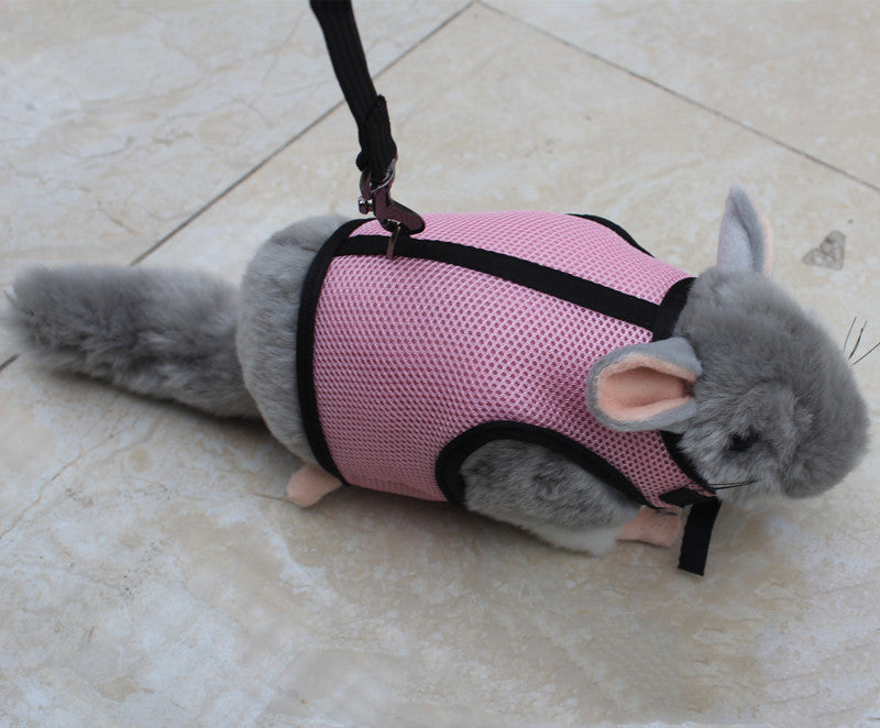 Small Pet Leash Control Strap