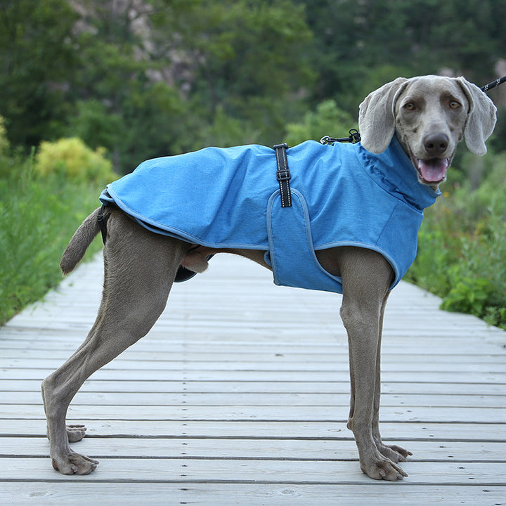 Winter Outdoor Pet Shell Jacket Ski Suit