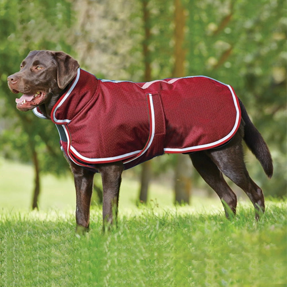 Pet Warm Waterproof Autumn Winter Leisure Jacket