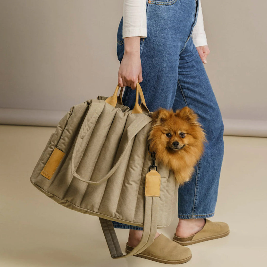 Lightweight Waterproof Pet Carrier Fashion Handbag