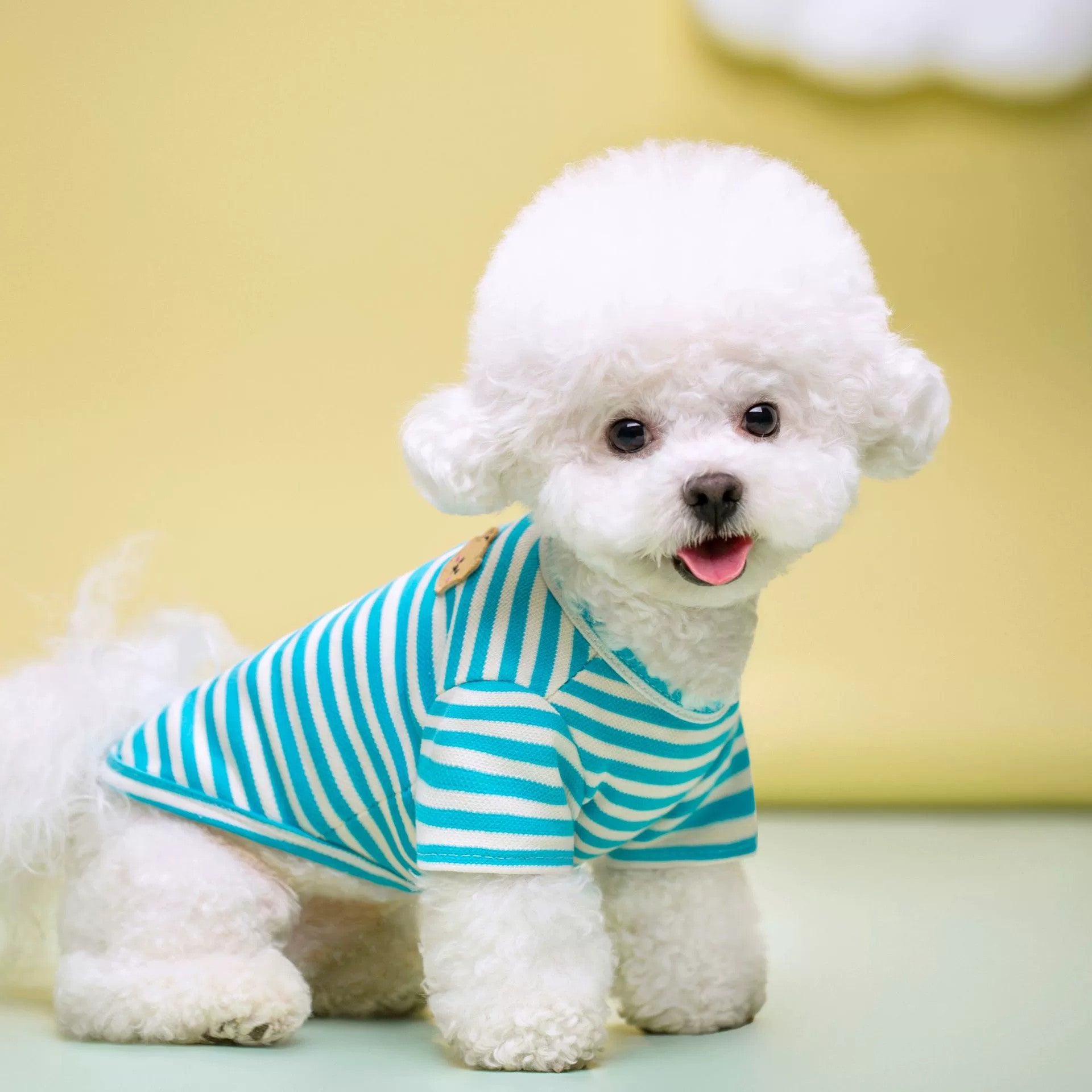 Breathable Summer Pet T Shirt Clothing