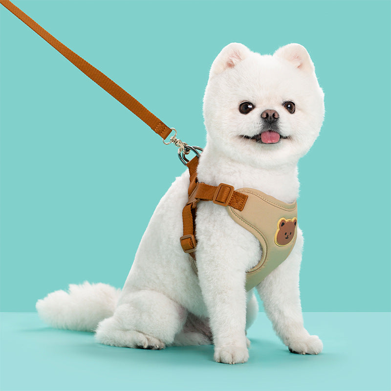 Outdoor Pet Leash Strap
