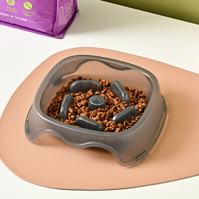 Anti Choking Pet Slow Feeding Bowl And Water Feeder