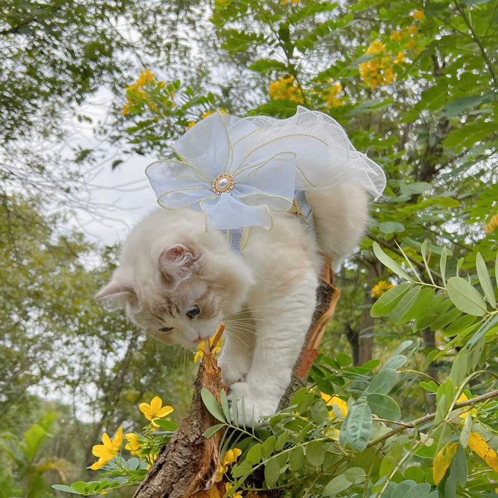 Multi Layer Yarn Pet Leash Universal Use Strap