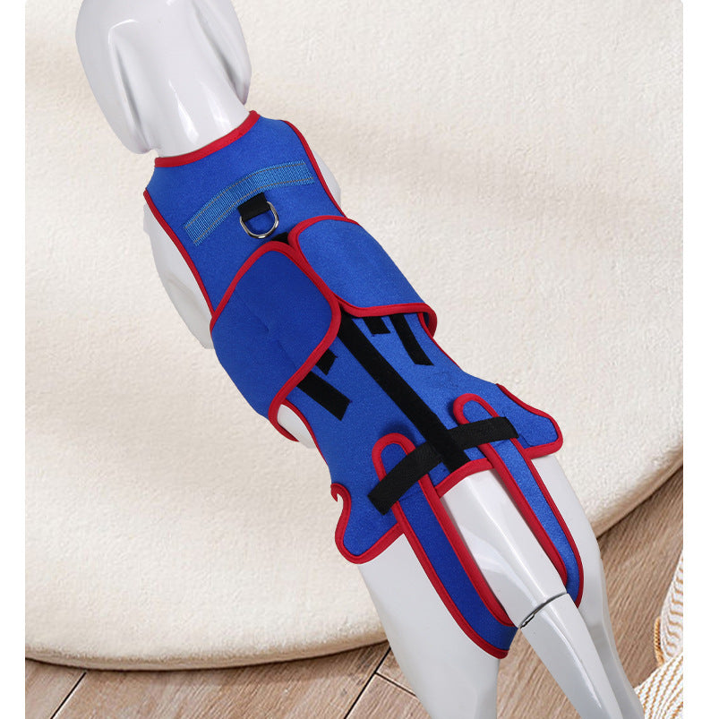 Pet Spine Support Jacket Posture Corrector