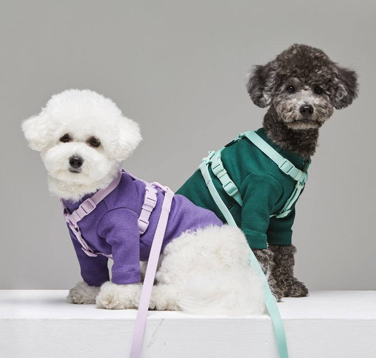 Macaron Style Pet Leash Wind Resistant Strap