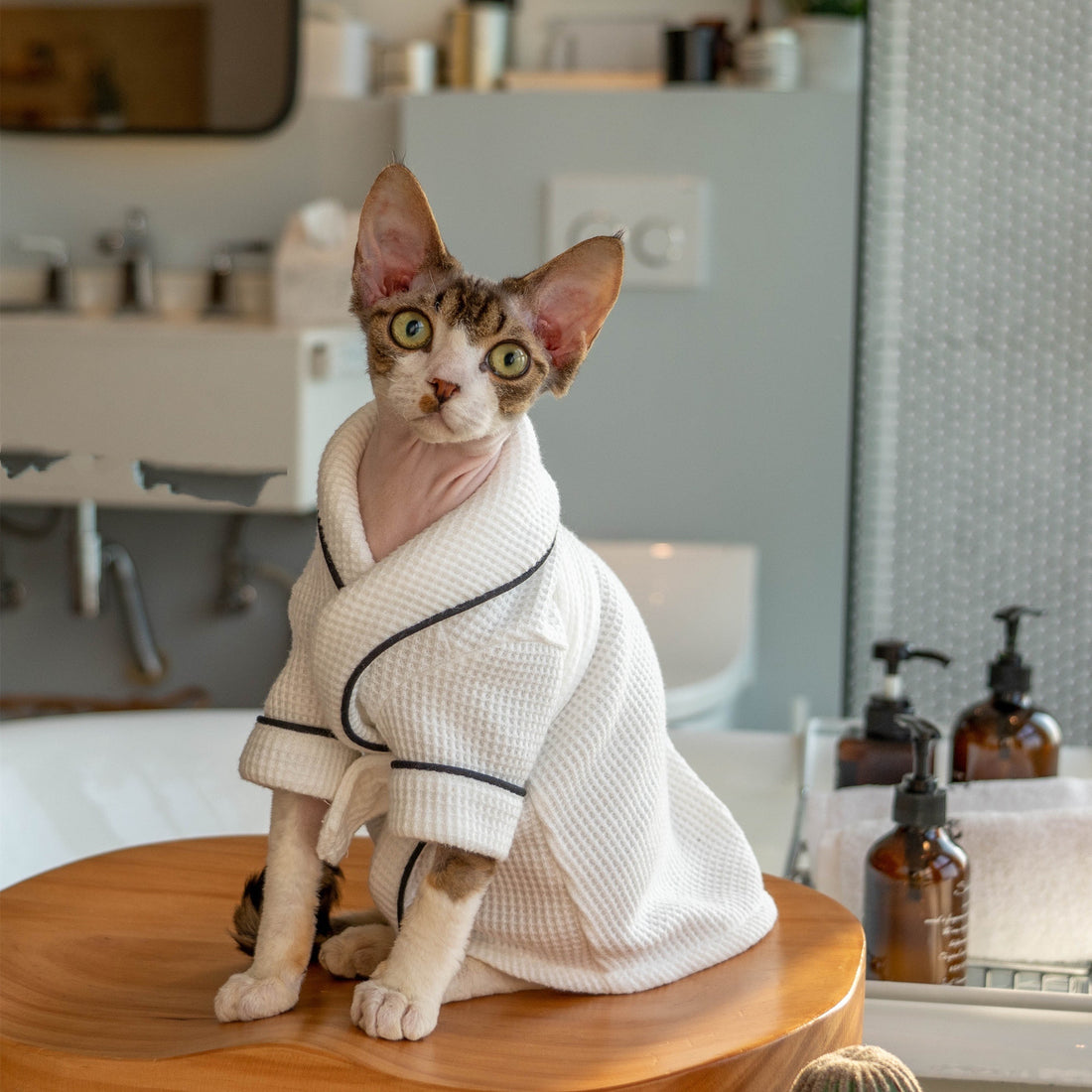 Pet Soft Absorbent Bathrobe Bath Towel Wrap