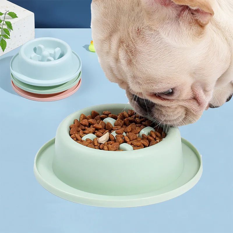 Pet Slow Feeding Anti Choking Food Bowl Interactive Plate