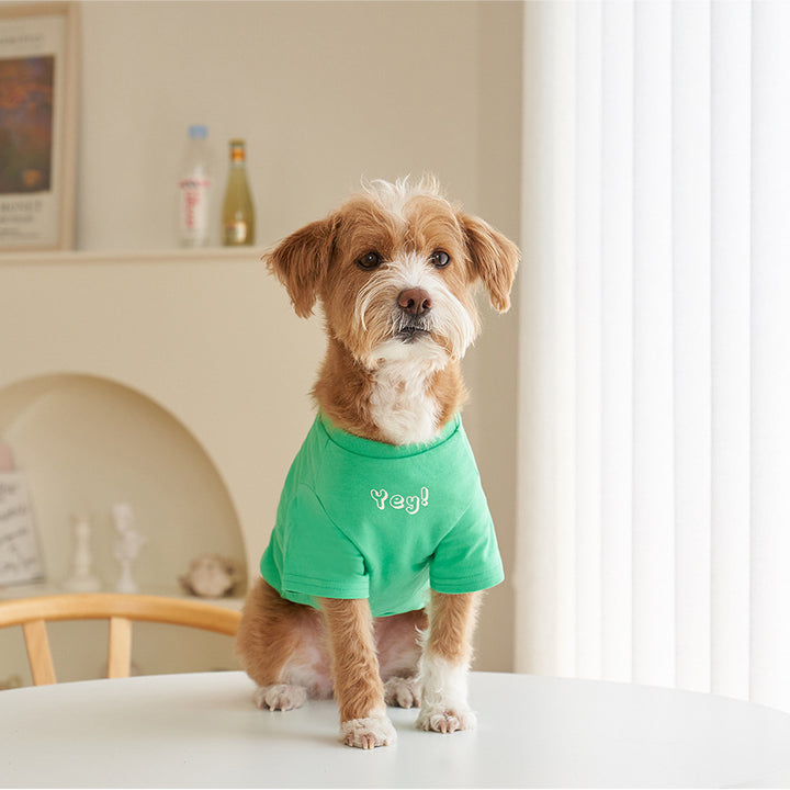 Pet Cotton Printed Summer Short Sleeve T Shirt