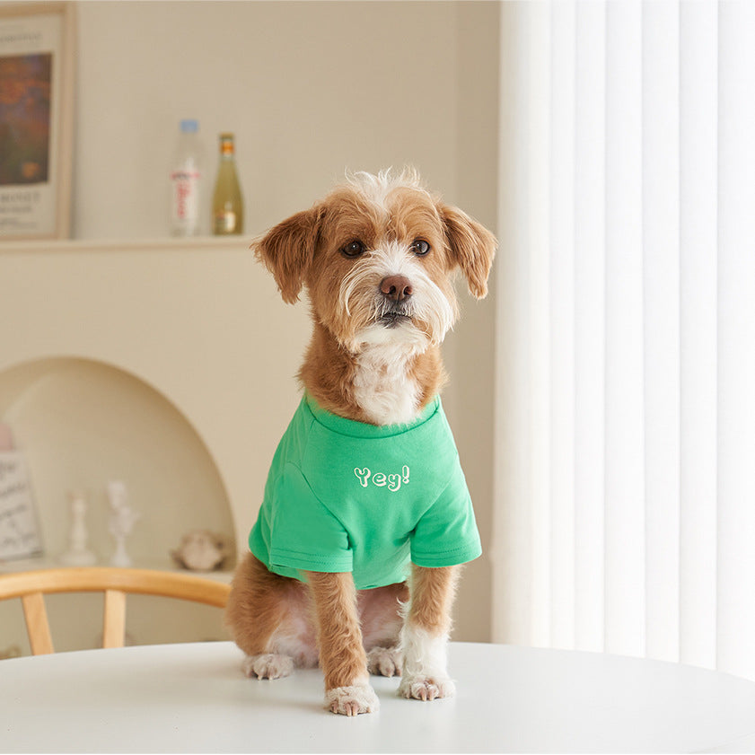 Pet Cotton Printed Summer Short Sleeve T Shirt