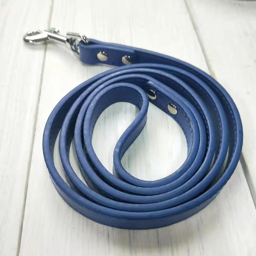 Pet Leash Collar Control Strap