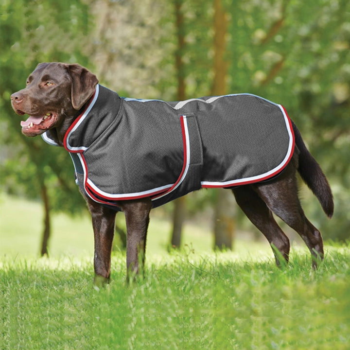 Pet Warm Waterproof Autumn Winter Leisure Jacket