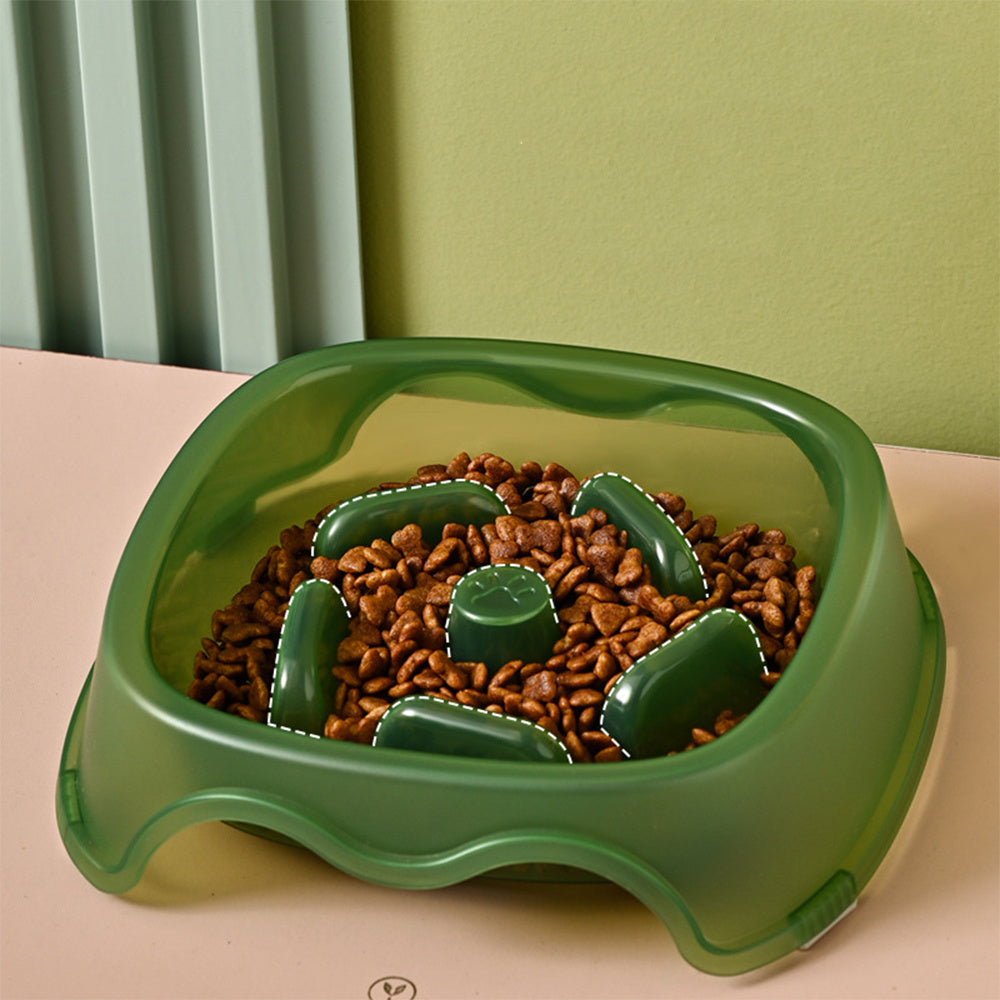 Anti Choking Pet Slow Feeding Bowl And Water Feeder