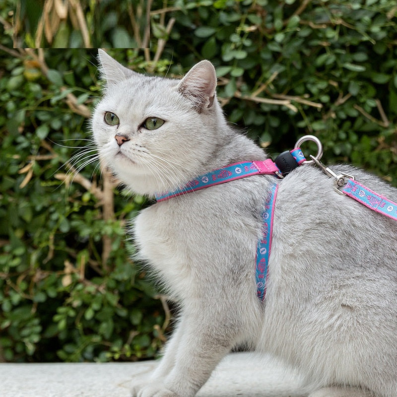 Bell Chest Strap Pet Vest With Haulage Rope Leash