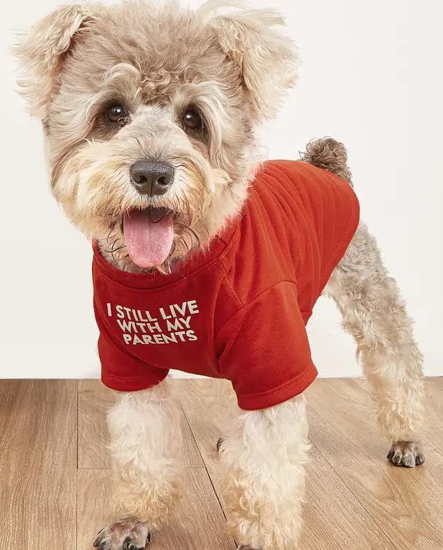 Round Neck Pet T Shirt Clothing