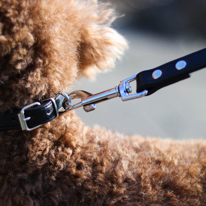 Pet Leash Collar Control Strap