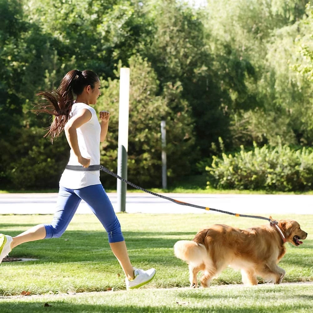 Adjustable Pet Harness Collar Jogging Leash Strap