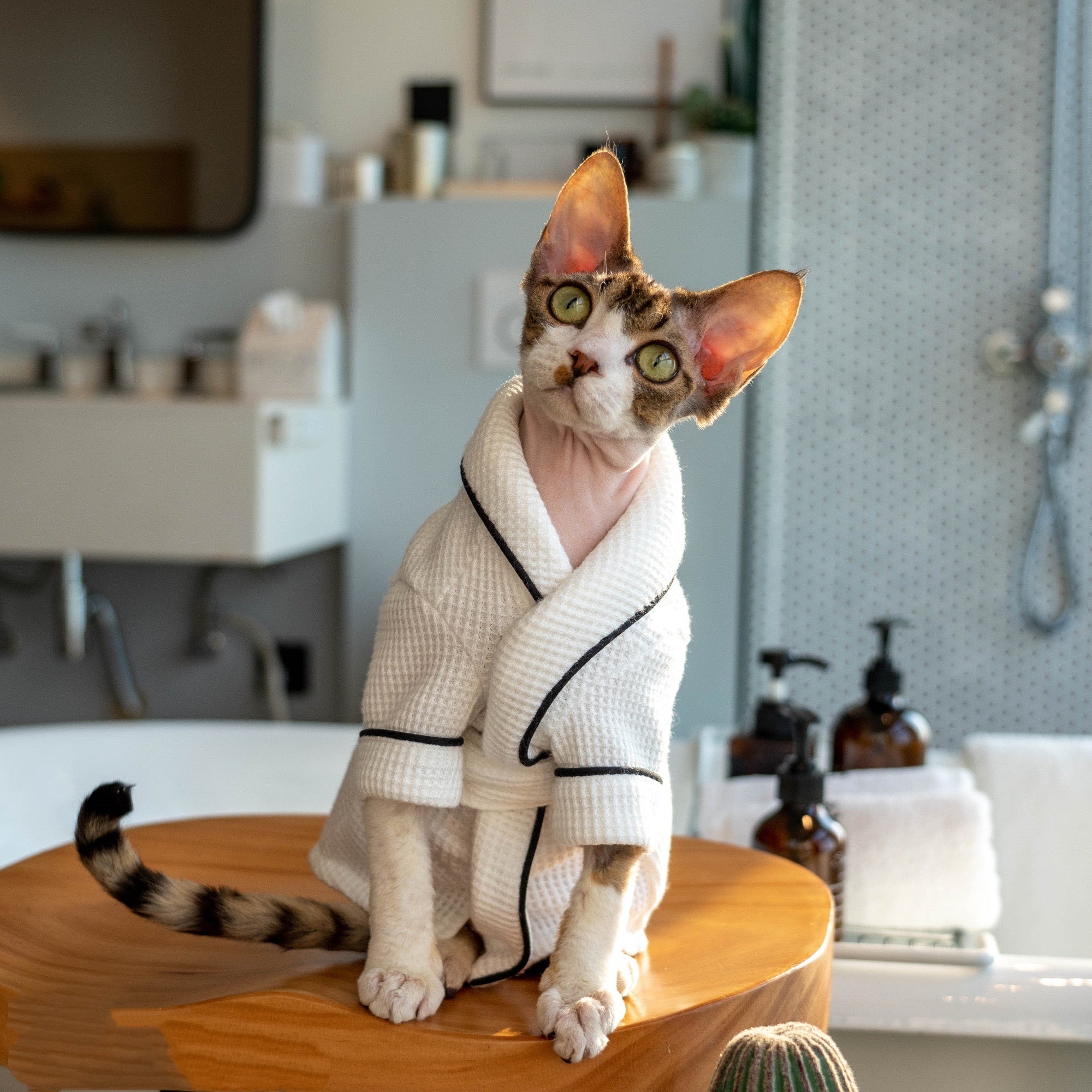 Pet Soft Absorbent Bathrobe Bath Towel Wrap