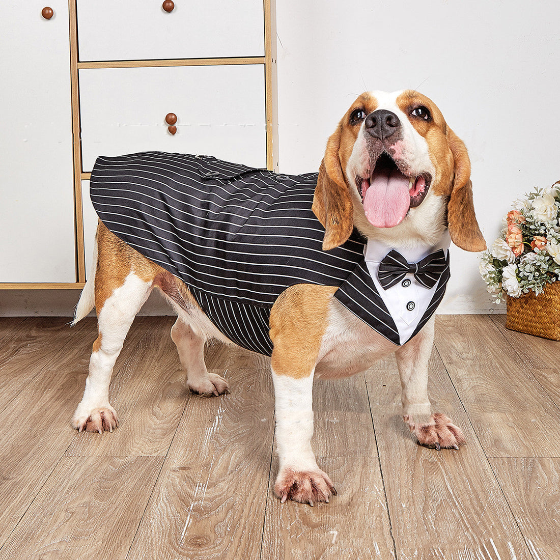 Pet Swallowtail Wedding Suit Jacket Apparel