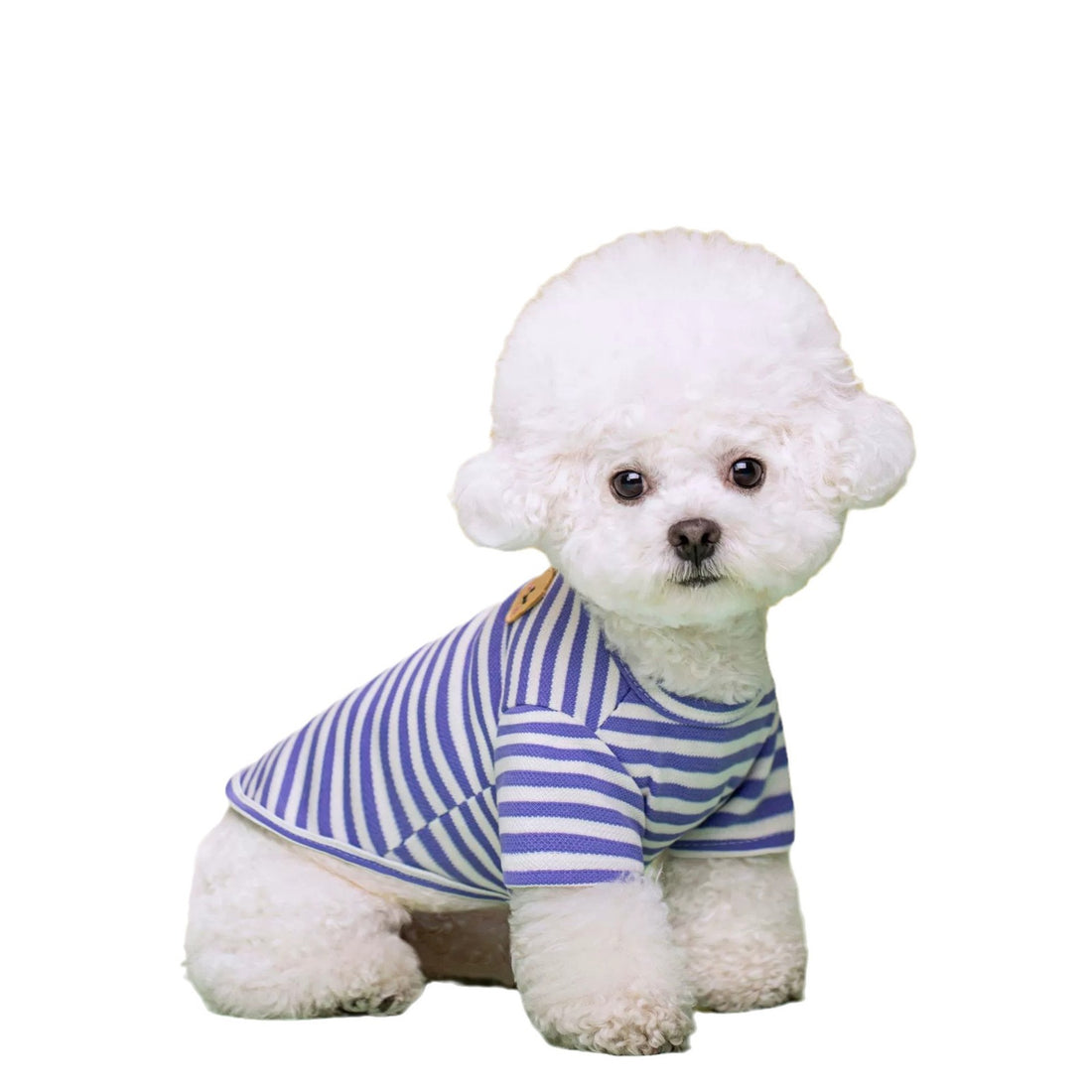 Breathable Summer Pet T Shirt Clothing