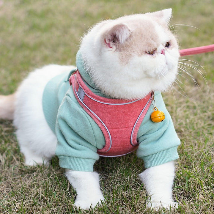 Pet Vest Type Chest Harness With Leash