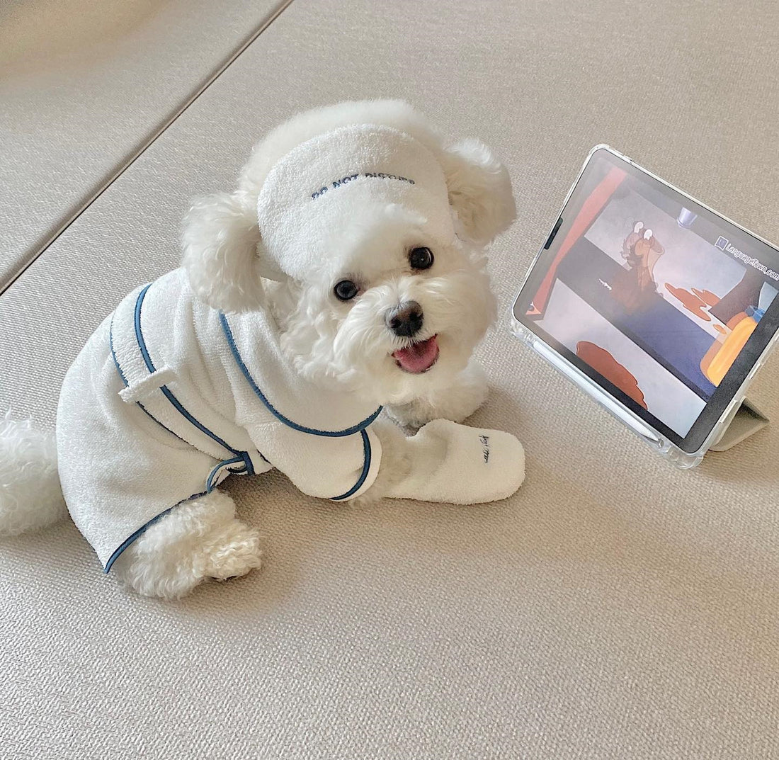 Pet Bath Towel Bathrobe Photo Props Absorbent Drying Wrap