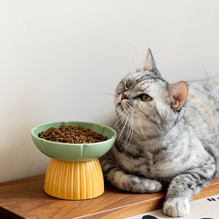 Candy Color Ceramic Pet Feeding Bowl