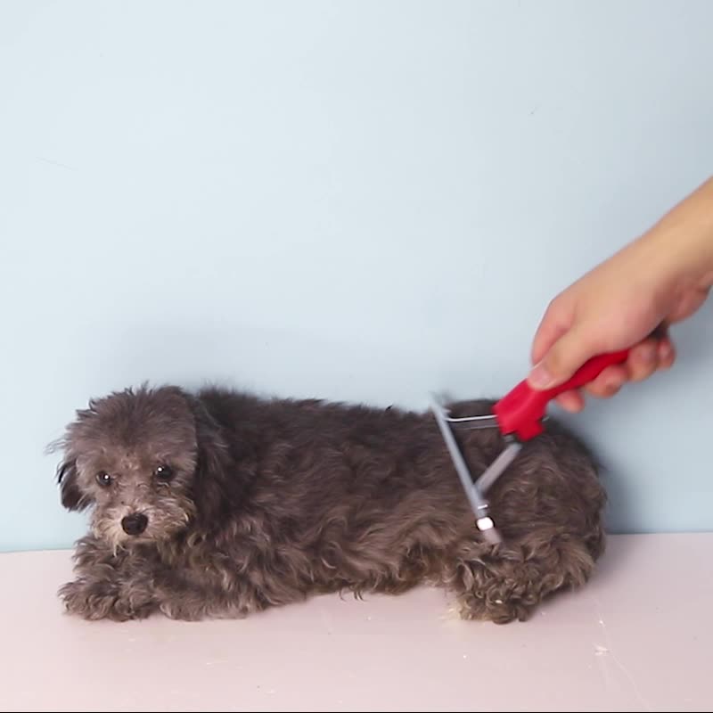 Pet Extra Large Rake Deshedding Grooming Comb Brush