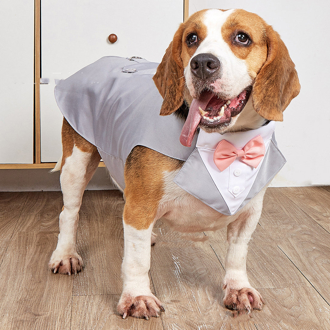 Pet Swallowtail Wedding Suit Jacket Apparel
