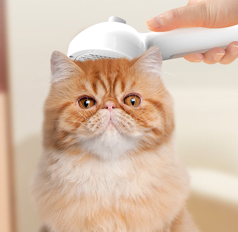 Pet Self Cleaning Dematting Mist Grooming Brush