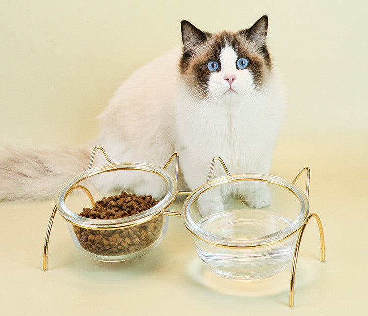 Pet Glass Feeding Bowl With Metal Stand Feeder