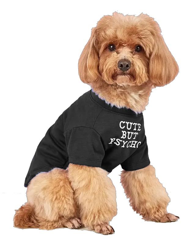 Round Neck Pet T Shirt Clothing