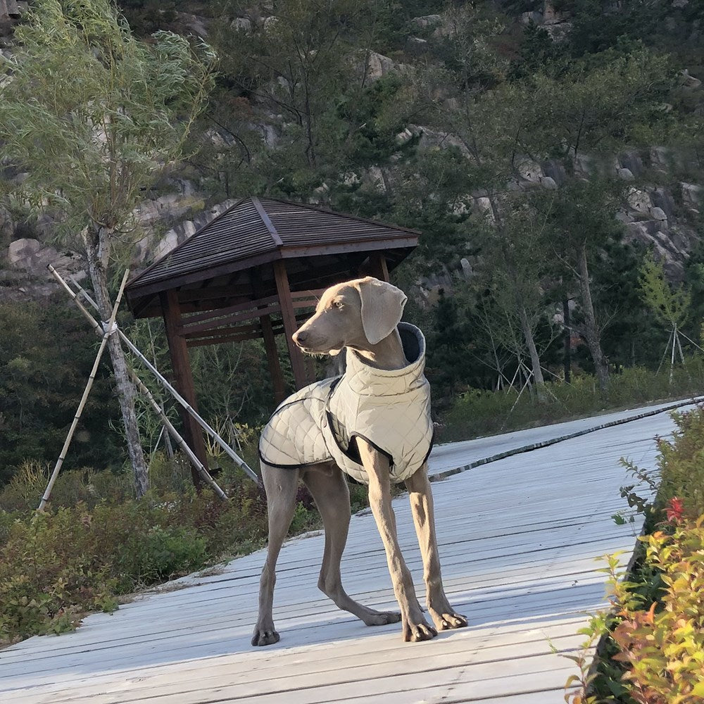 Full Body Reflective Tactical Pet Jacket Clothing